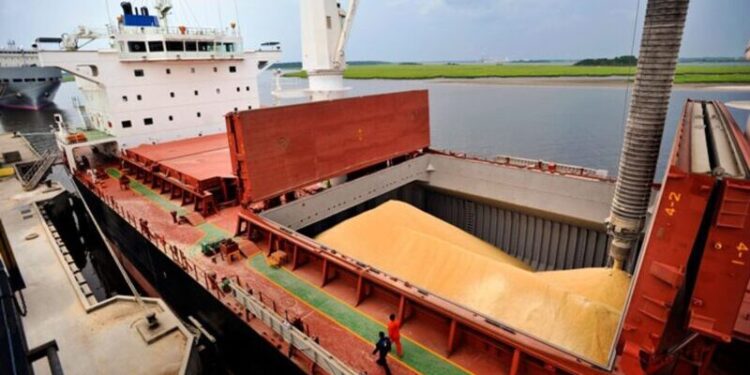 Nueva liquidación récord de los agroexportadores casi 3.000 millones de dolares en marzo