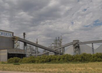 YPF avanzará con la ampliación de Profertil aunque deba buscar nuevos socios