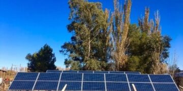 Estancia que utiliza energías renovables para criar cerdos