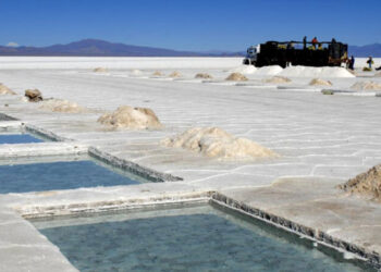 Gotion Inc fabricará baterías de litio en Jujuy