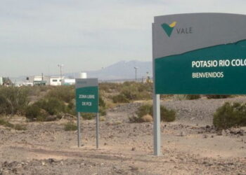 Proyecto Potasio Río Colorado estudios ambientales