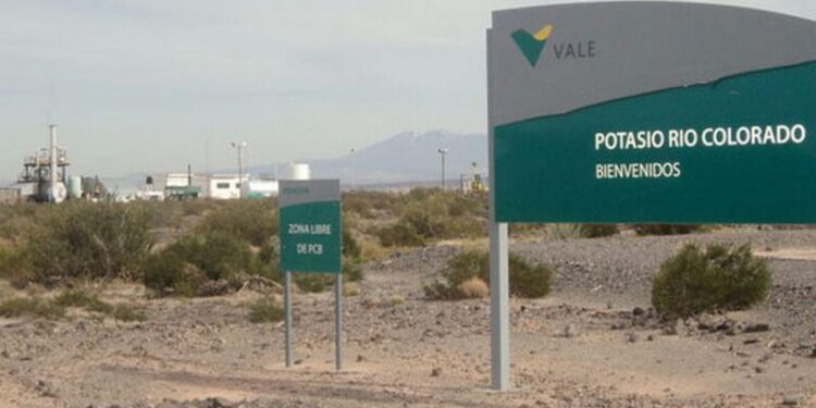 Proyecto Potasio Río Colorado estudios ambientales