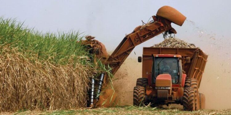 En Brasil, más de la mitad del azúcar se usa para productir etanol