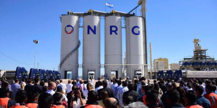 Becas NGR para estudiantes univiersitarios 2022
