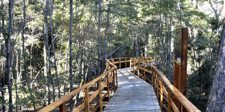 Villa La Angostura cuenta con el sendero turístico "más lindo del país"