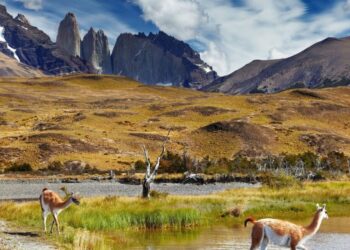 La UE destinará 3 millones de euros para proteger la biodiversidad en la Patagonia
