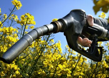Proponen incrementar el porcentaje de biodiesel para resolver el faltante de gasoil