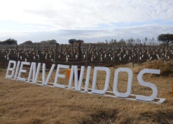 Proyectan construir una bodega en Pichi Huinca