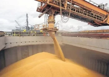 Bahía Blanca los embarques de granos crecieron un 24 % en la primera mitad del año