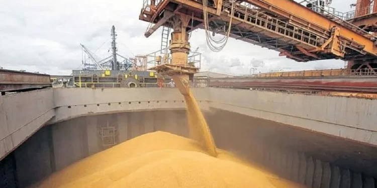 Bahía Blanca los embarques de granos crecieron un 24 % en la primera mitad del año