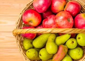 Cayó un 23% la superficie cultivada con peras y manzanas en Neuquén durante la última década