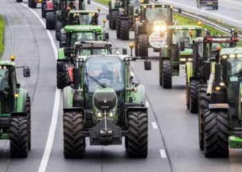 Crisis alimentaria granjeros neerlandeses enfrentan al gobierno