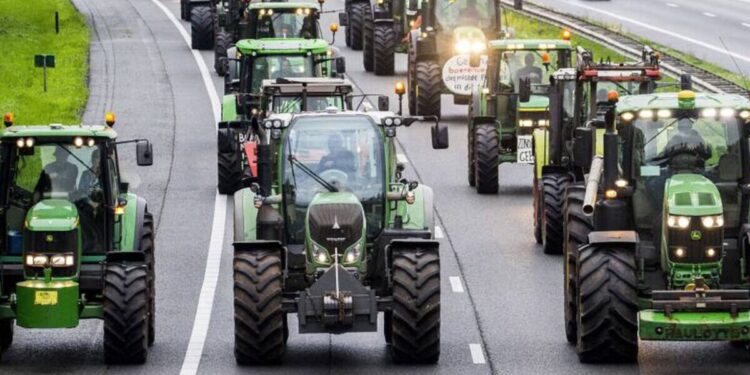 Crisis alimentaria granjeros neerlandeses enfrentan al gobierno