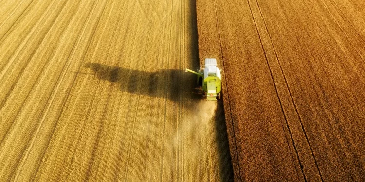 El agro adelantó liquidaciones y esperan que ingresen US$1.000 millones