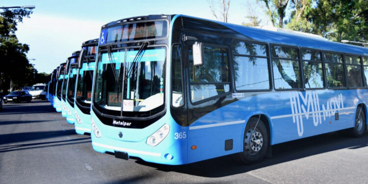 En Rosario circularán más colectivos 100% eléctricos
