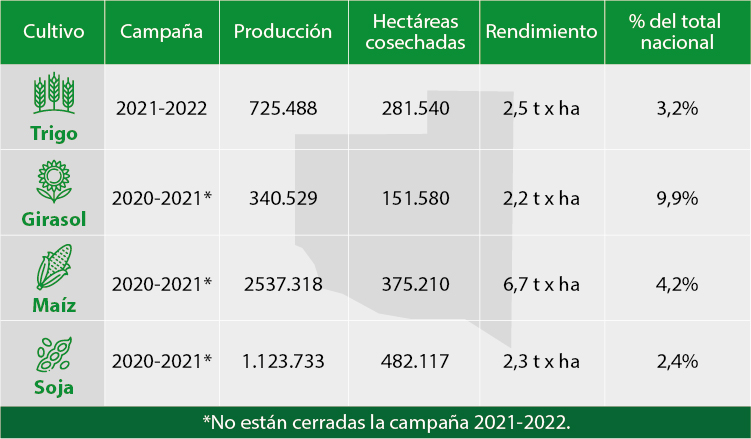 Producción de granos en La Pampa primer semestre 2022