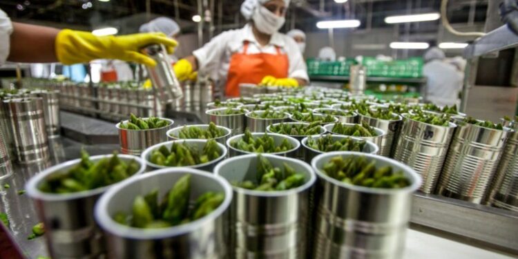Las exportaciones agroindustriales del primer semestre fueron las más altas de la historia