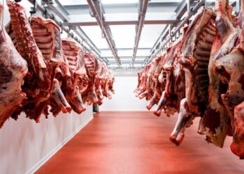 Las exportaciones de carne vacuna marcaron un récord durante el primer semestre