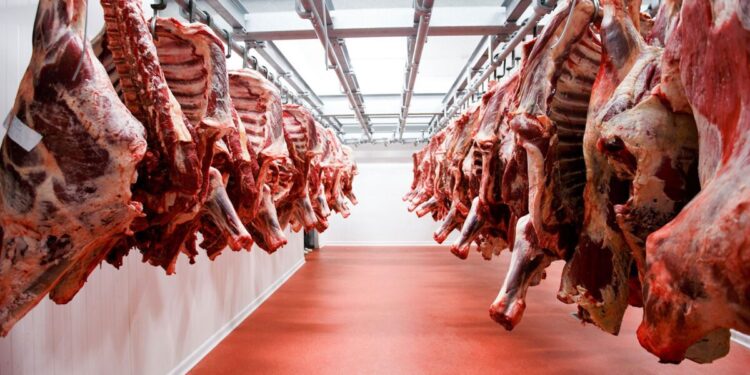 Las exportaciones de carne vacuna marcaron un récord durante el primer semestre