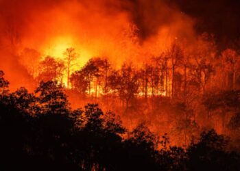 Los desastres naturales causaron pérdidas por 72.000 millones de dólares