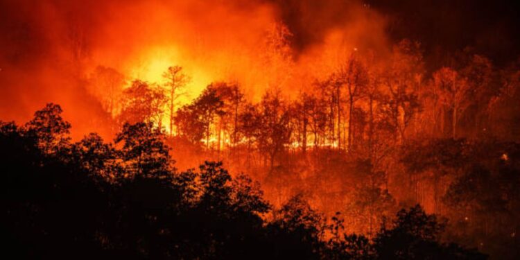 Los desastres naturales causaron pérdidas por 72.000 millones de dólares