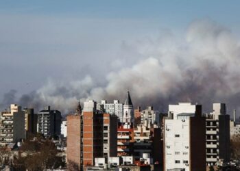 Los incendios en el Delta del Paraná no frenan ya se quemaron más de 10 mil hectáreas