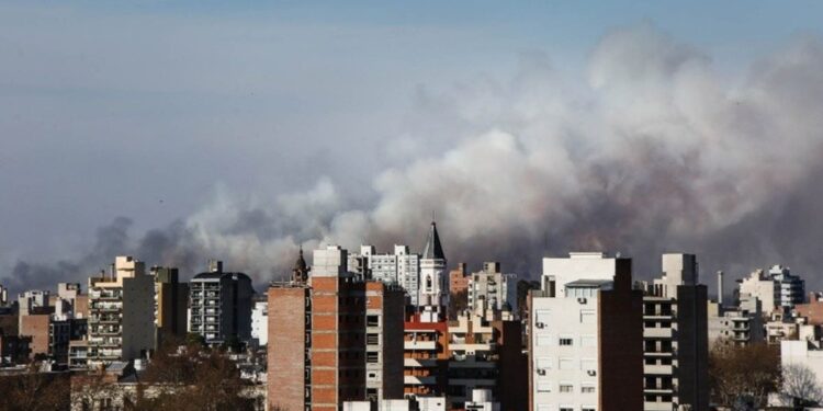 Los incendios en el Delta del Paraná no frenan ya se quemaron más de 10 mil hectáreas