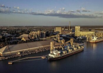 Récord de exportaciones en Bahía
