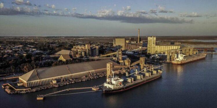 Récord de exportaciones en Bahía