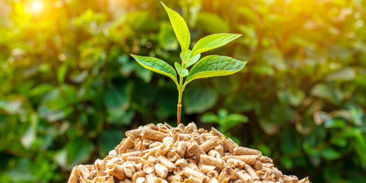 Toyotabusca desarrollar la biomasa como combustible