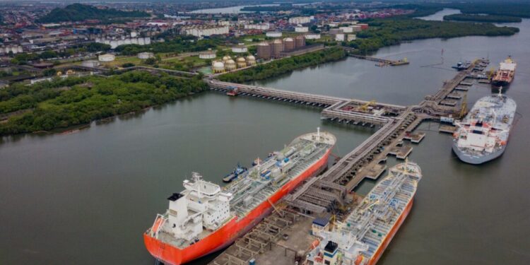 Brasil privatizará el mayor puerto de Latinoamérica