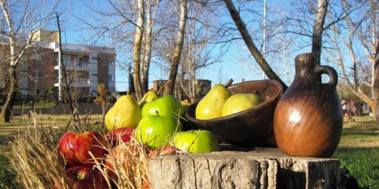 La Asociación de Productores del Alto Valle llevó la «agenda frutícola» a Nación