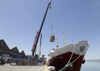 Se descargaron 1.406.490 toneladas de granos en agosto en terminales bahienses