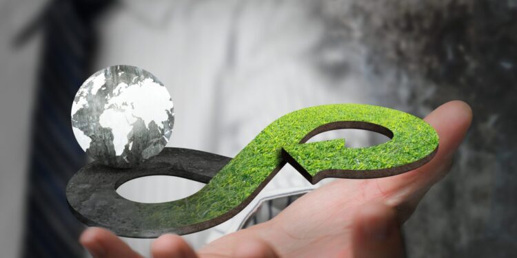 5 ejemplos de economía circular empresas