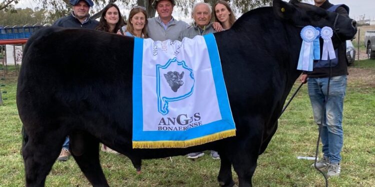 Bordeu 2022 se remataron reproductores en $2.950.000