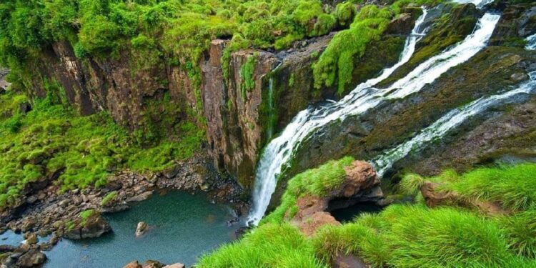 Buscan ampliar un programa que combina producción y protección del medio ambiente