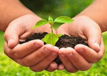 Construyen un espacio para fomentar la producción agroecológica