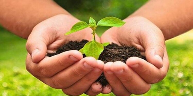 Construyen un espacio para fomentar la producción agroecológica