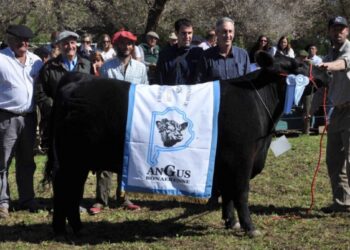 Hubo ventas por $53 millones la rural de Coronel Suárez