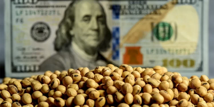 Impacto del “dólar soja” en la influencia del Puerto de Bahía Blanca