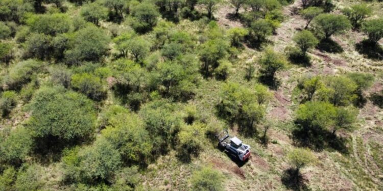 La Pampa: entregaron $ 70 millones a productores para mejoras del bosque nativo