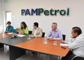 Medanito Sur: dos empresas se presentaron a la licitación