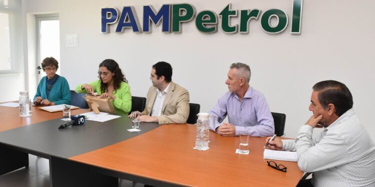 Medanito Sur: dos empresas se presentaron a la licitación