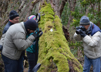 Preocupación por el cambio climático en uno de los confines del mundo