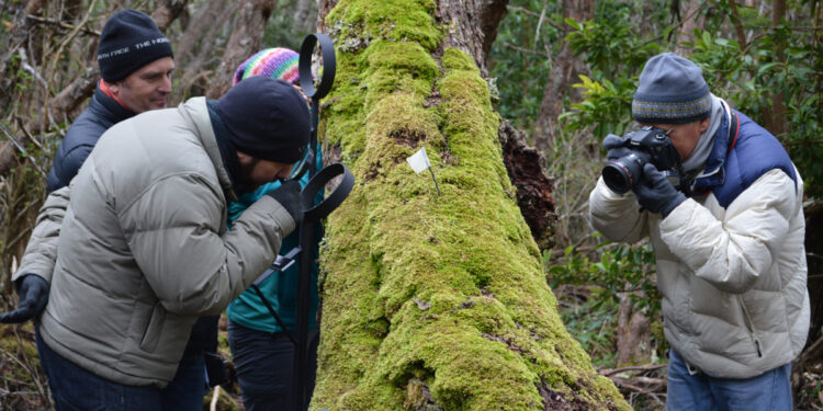 Preocupación por el cambio climático en uno de los confines del mundo