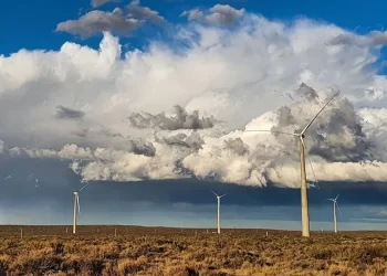 Vientos Neuquinos hay 29 aerogeneradores a pleno