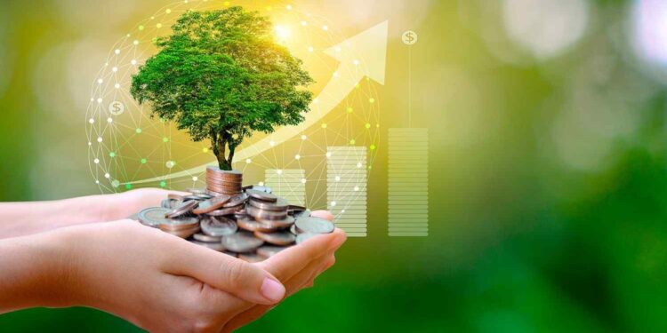 Aumentan las empresas que apuestan por la sostenibilidad