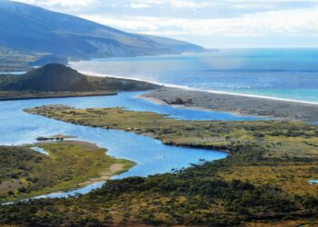 Buscan proteger por ley a Península Mitre, el mayor reservorio de carbono del país