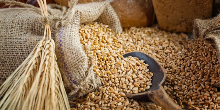 El precio de la cebada se fortalece en Argentina, mientras en el mundo cae