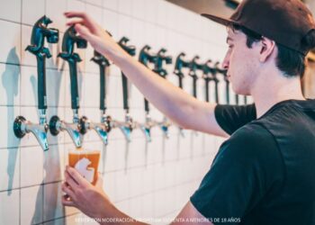 Industria de la cerveza artesanal en Argentina